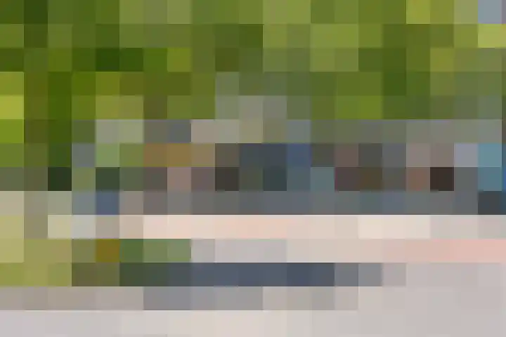 Ramspol 70 Haarlem thumbnail 33