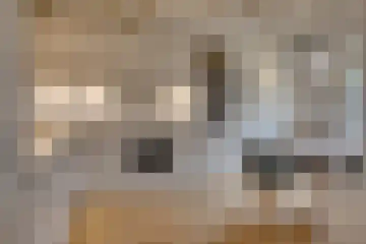 Ramstraat 21 Utrecht thumbnail 14