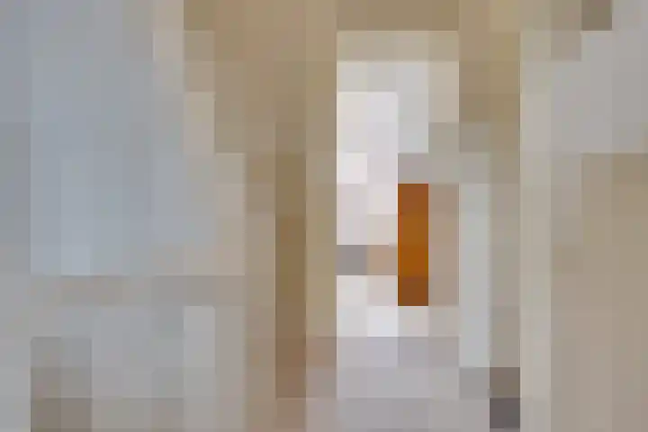 Ramstraat 21 Utrecht thumbnail 25