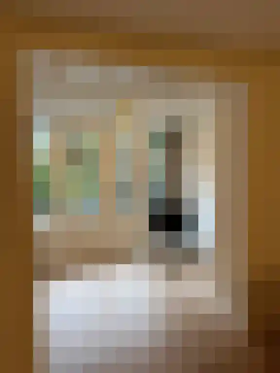 Ramstraat 35 Utrecht thumbnail 4
