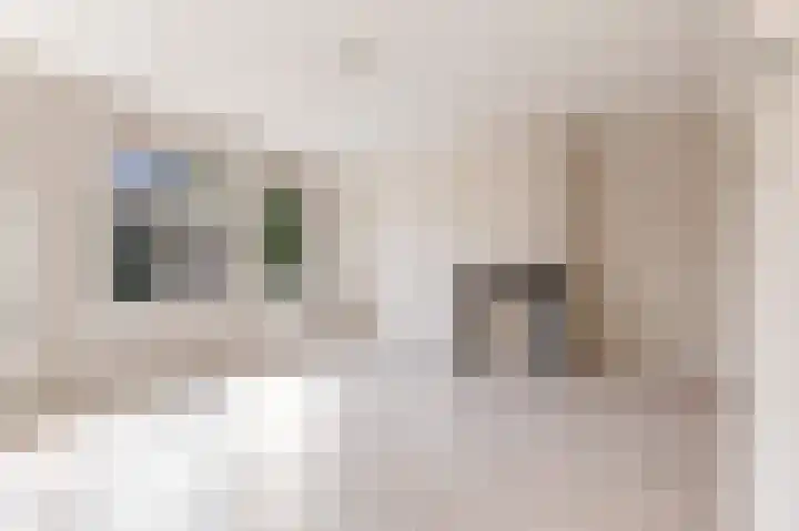 Ramstraat 41 B Utrecht thumbnail 8