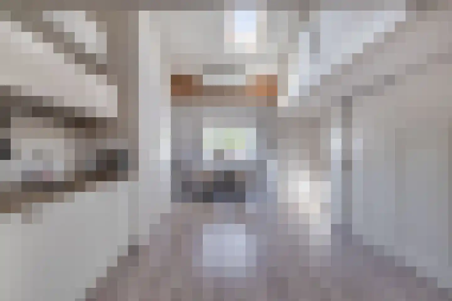 Ramstraat 41 C Utrecht thumbnail 15
