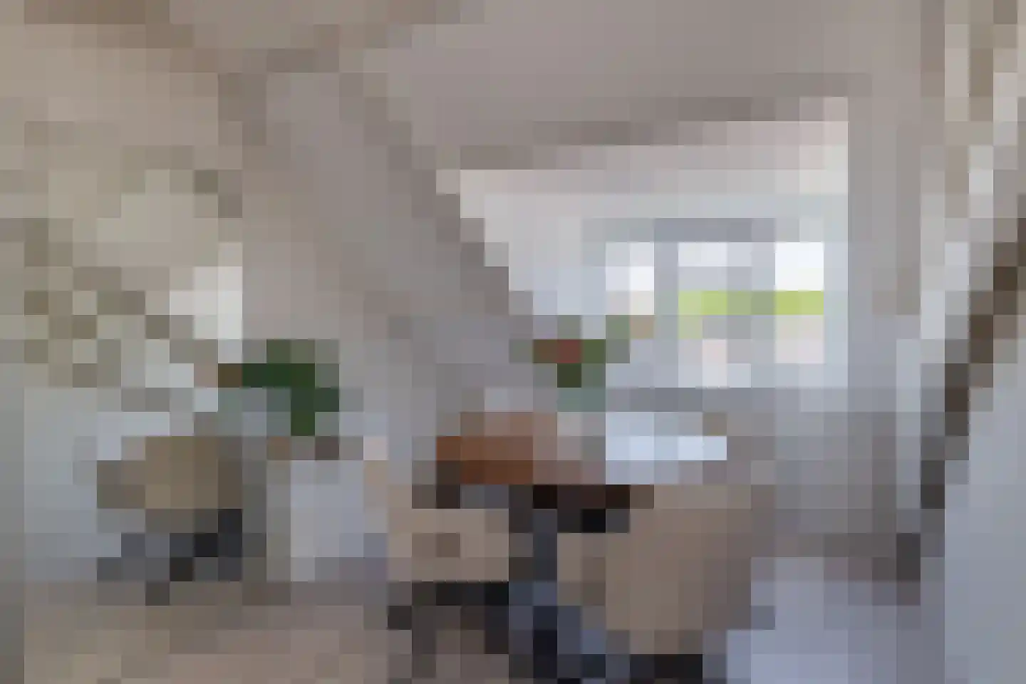 Ramstraat 41 C Utrecht thumbnail 17