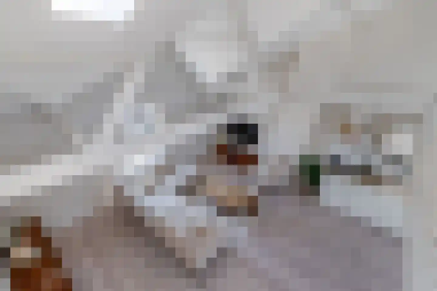 Ramstraat 41 C Utrecht thumbnail 23
