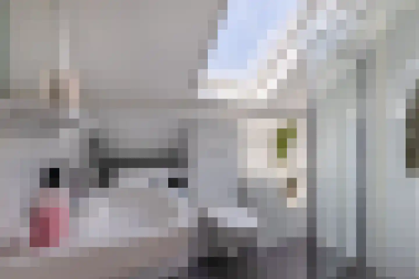 Ramstraat 41 C Utrecht thumbnail 24