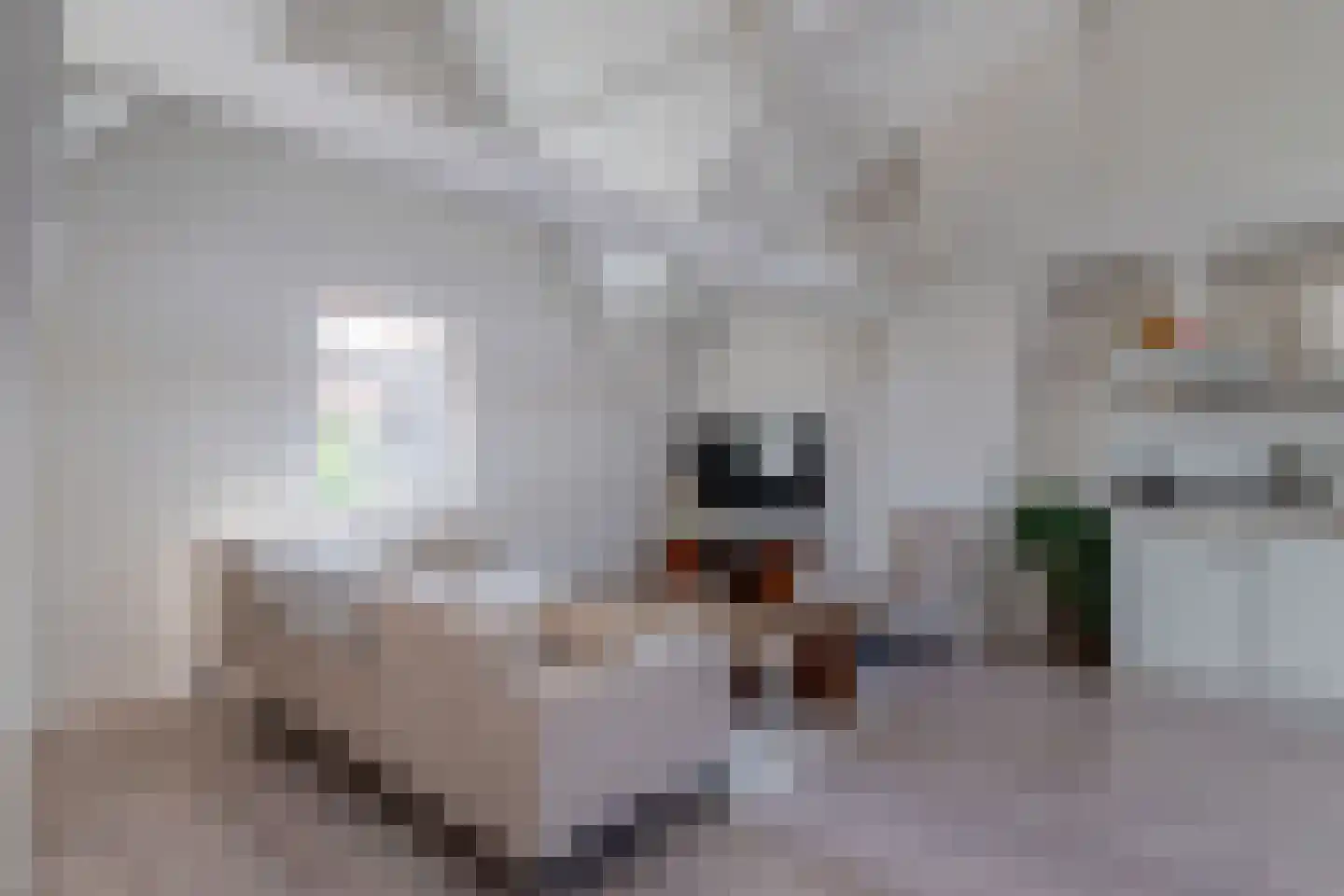Ramstraat 41 C Utrecht thumbnail 9