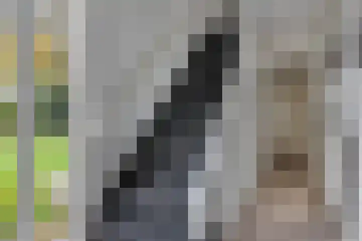 Ramsweg 10 Ens thumbnail 13