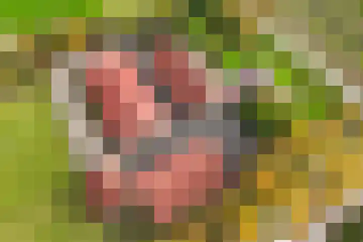 Ramsweg 10 Ens thumbnail 45