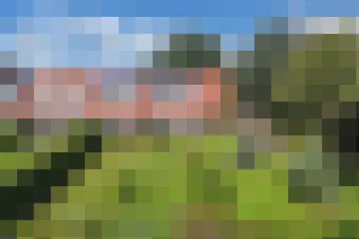 Ramsweg 13 A Ens thumbnail 15