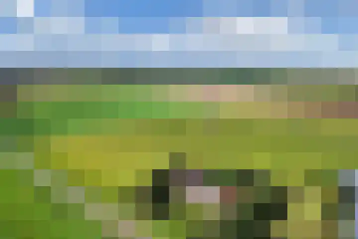 Ramsweg 13 A Ens thumbnail 18