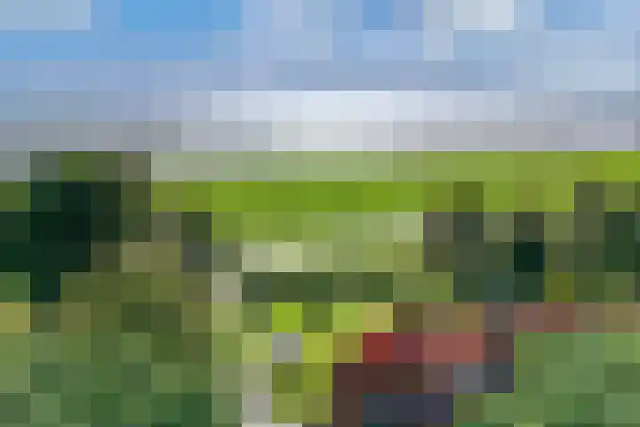 Ramsweg 13 A Ens thumbnail 19
