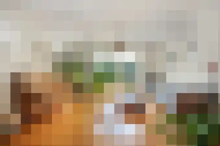 Ramsweg 13 A Ens thumbnail 25