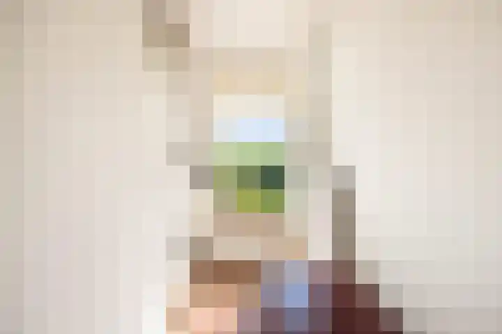 Ramsweg 13 A Ens thumbnail 43