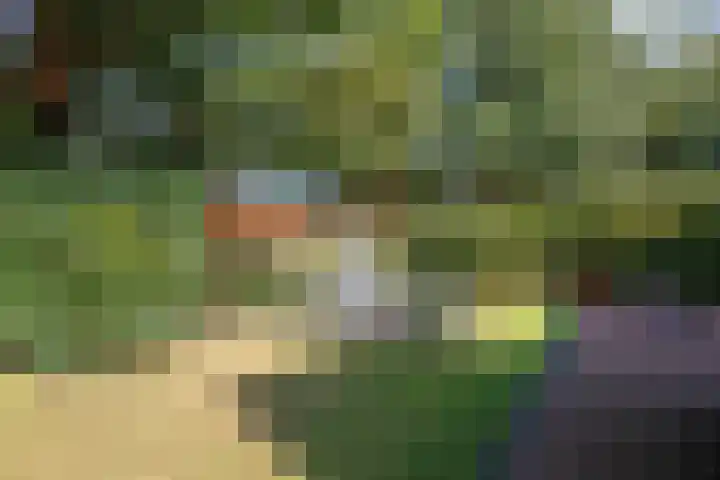 Ramsweg 13 A Ens thumbnail 50
