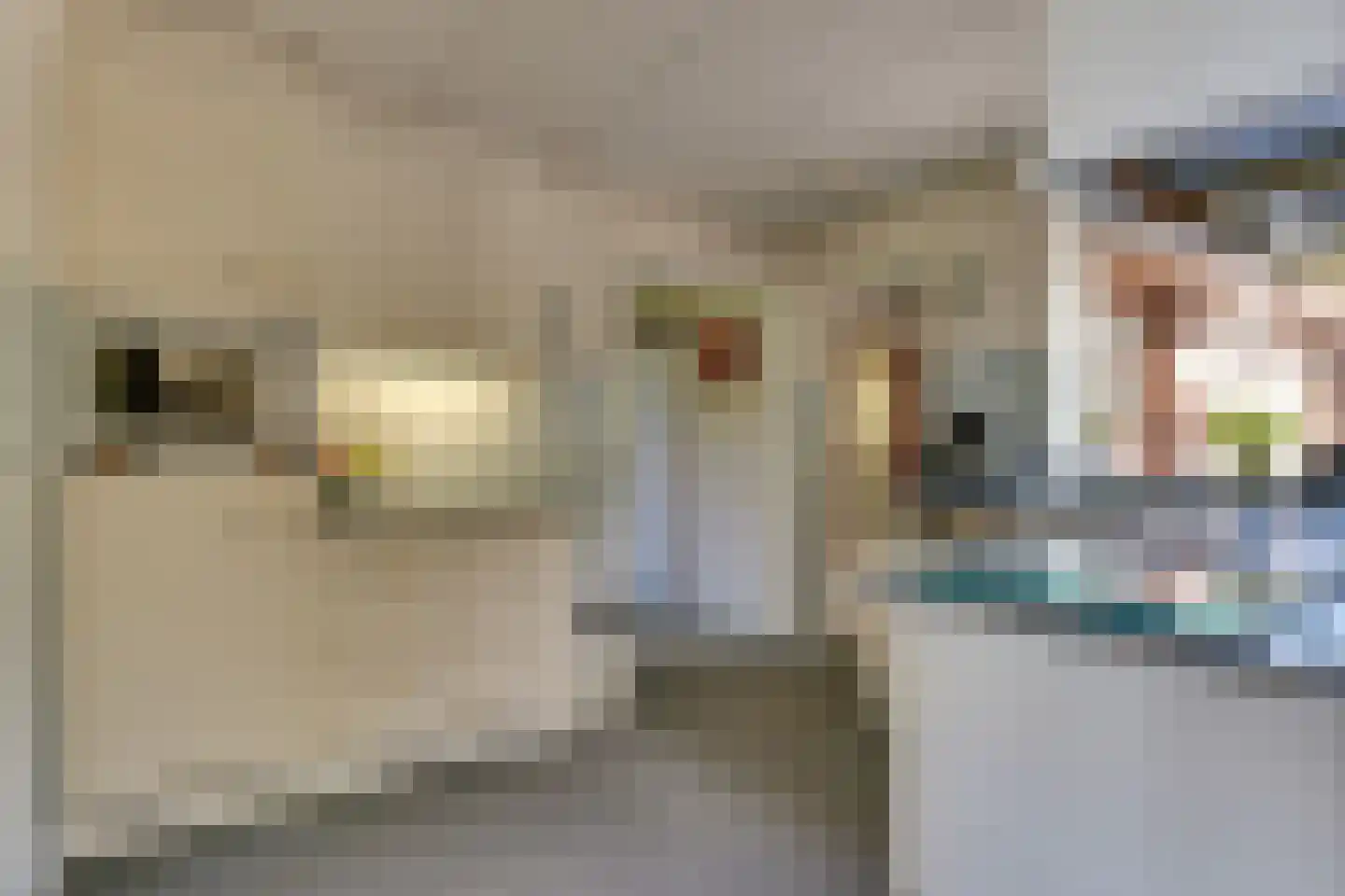 Ramsweg 21 Nagele thumbnail 18