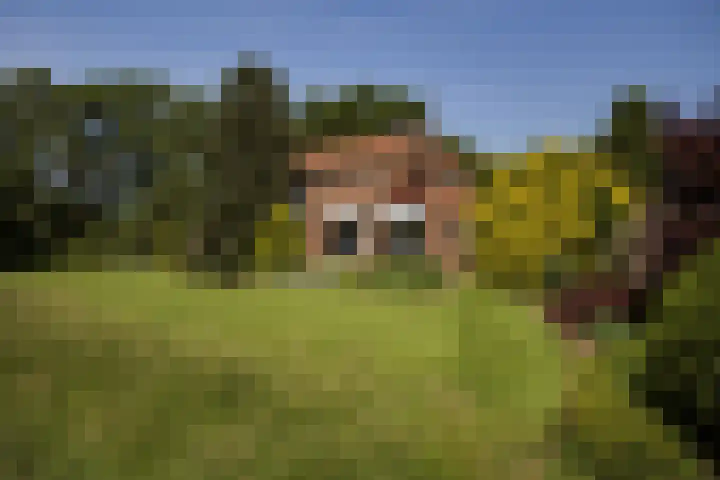 Ramsweg 21 Nagele thumbnail 4