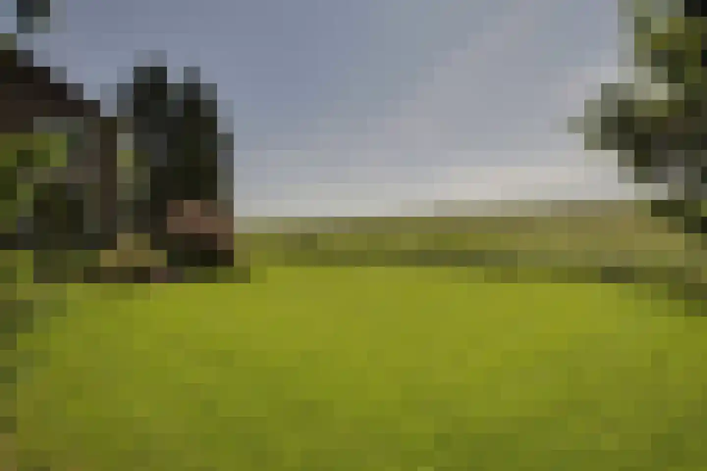 Ramsweg 21 Nagele thumbnail 42