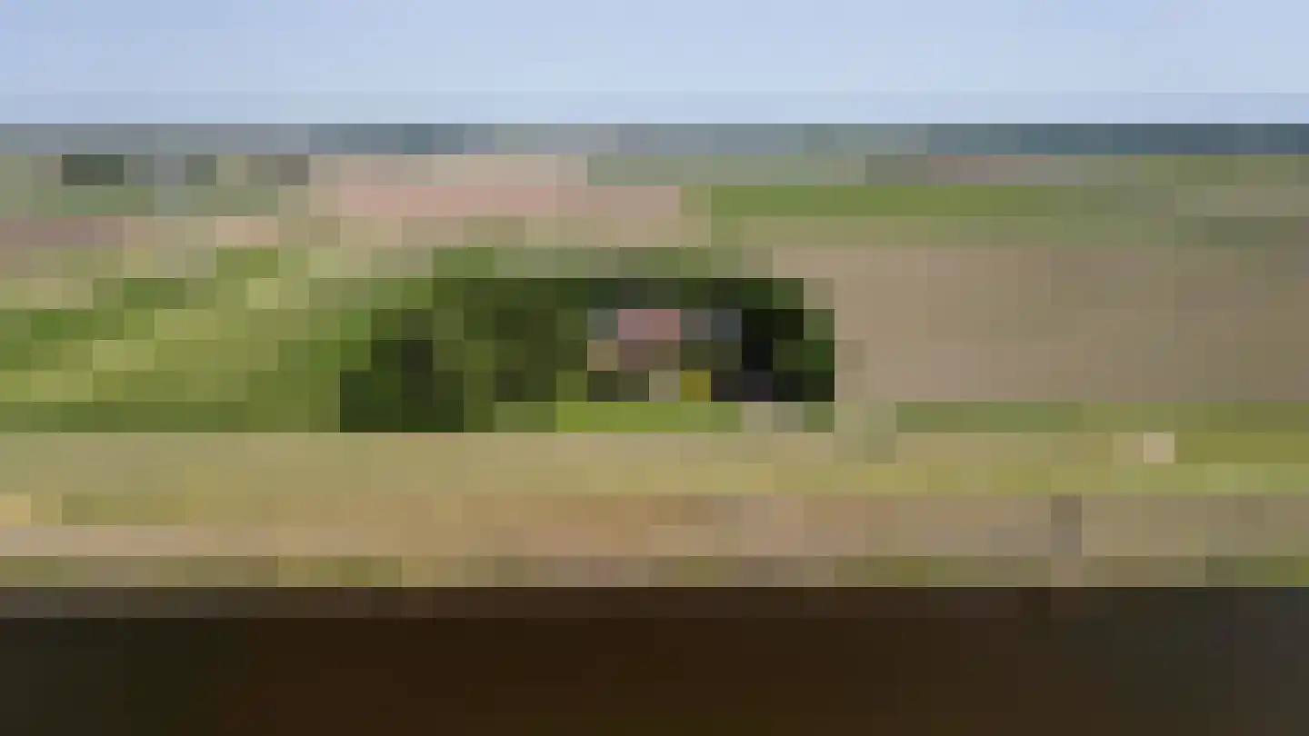 Ramsweg 21 Nagele thumbnail 52