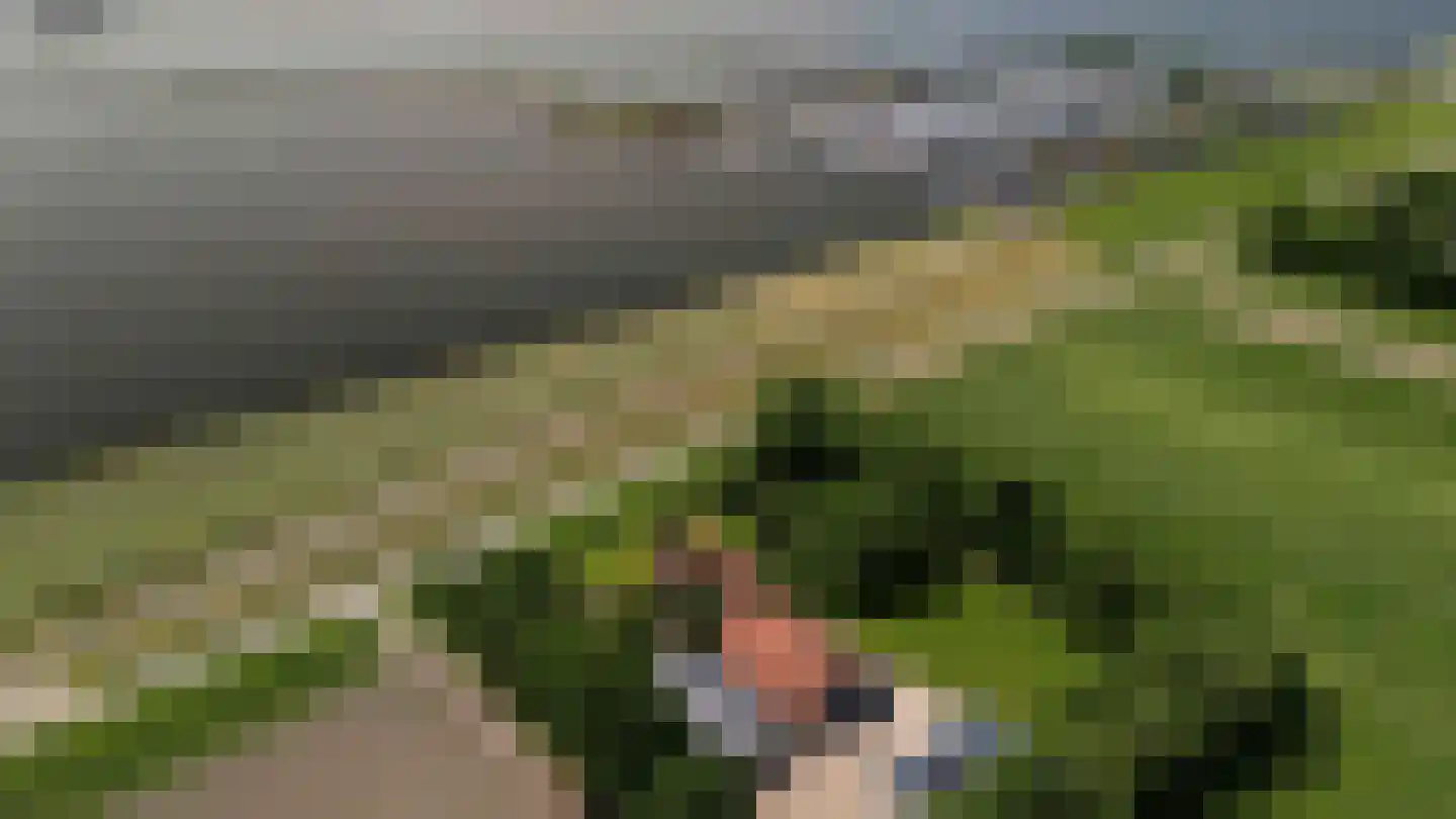 Ramsweg 21 Nagele thumbnail 53