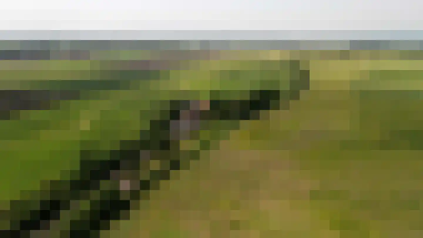 Ramsweg 21 Nagele thumbnail 54