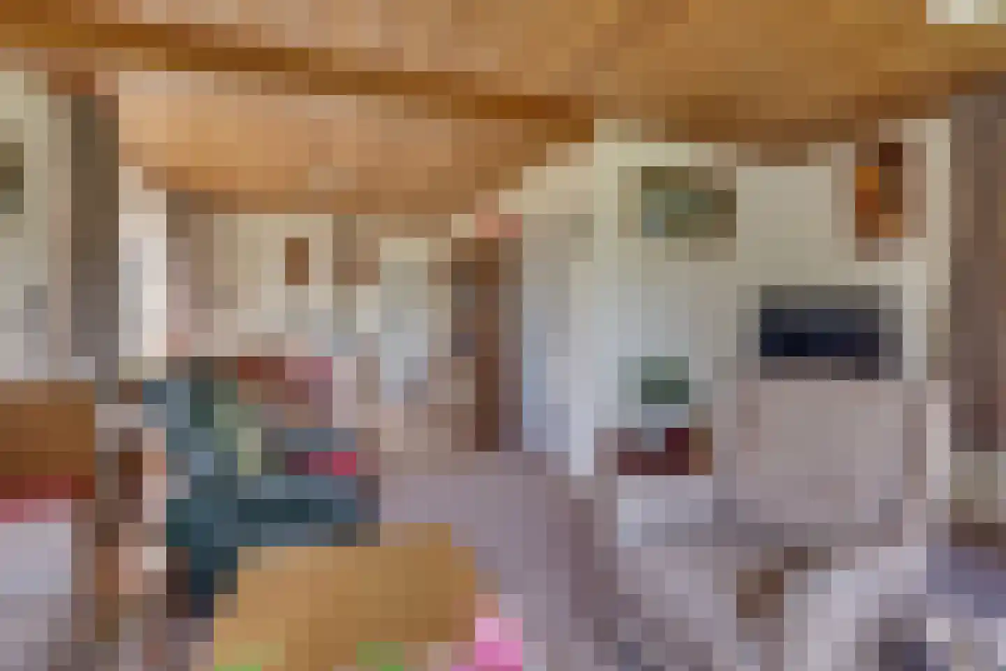 Ramsweg 4 Ens thumbnail 15