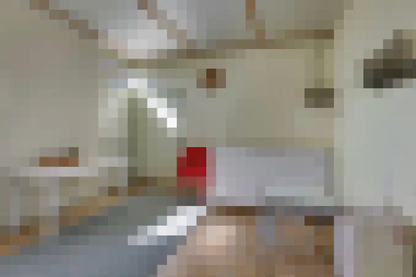 Ramsweg 4 Ens thumbnail 20