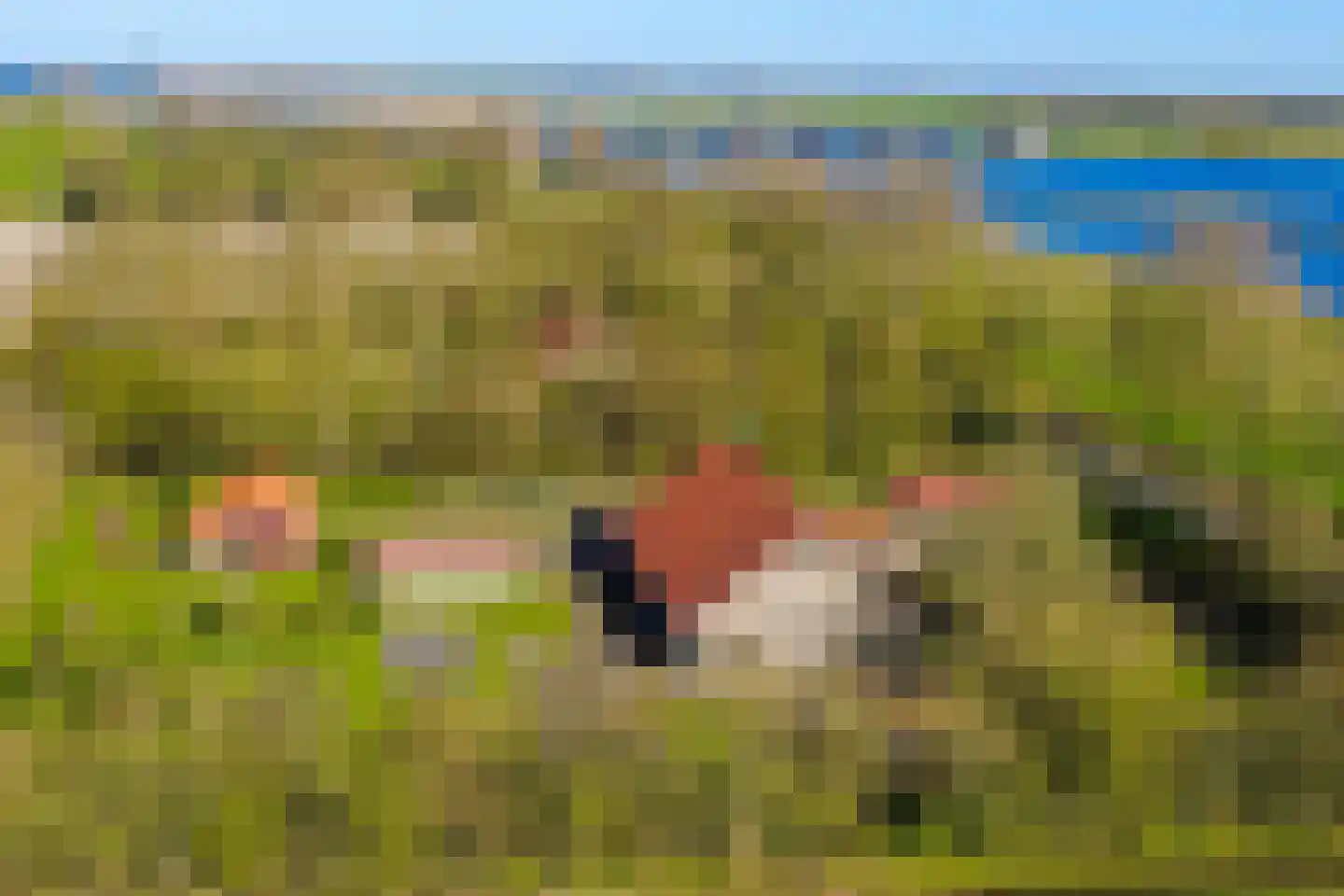 Ramsweg 4 Ens thumbnail 32