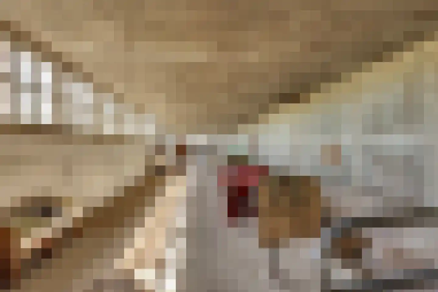Ramsweg 4 Ens thumbnail 52