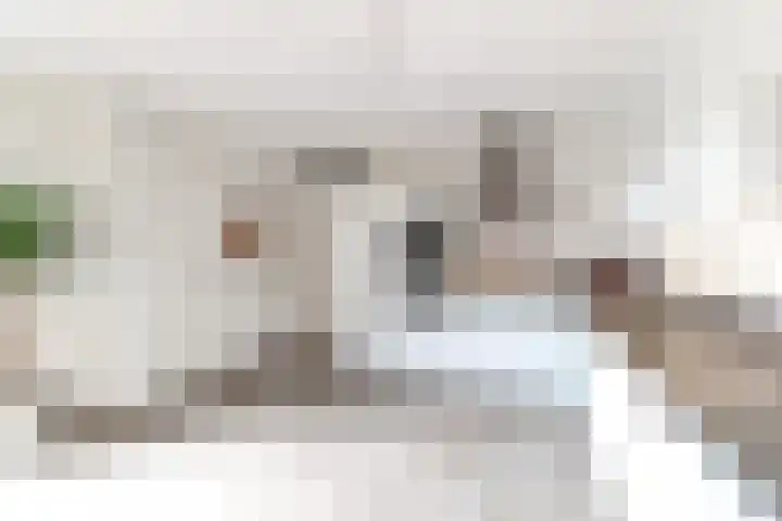 Ranastraat 1 Zuidhorn thumbnail 15
