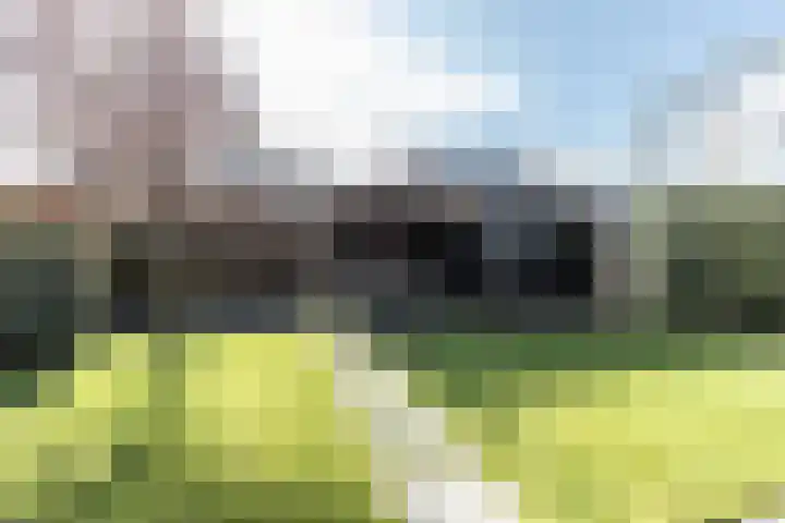 Ranastraat 1 Zuidhorn thumbnail 24