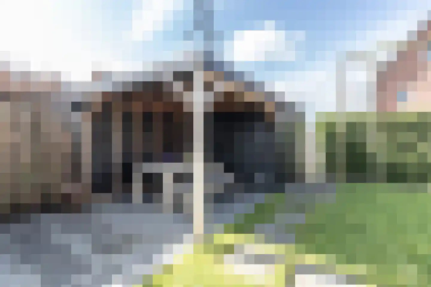 Ranastraat 1 Zuidhorn thumbnail 25