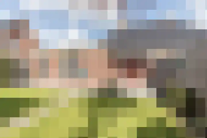 Ranastraat 1 Zuidhorn thumbnail 26
