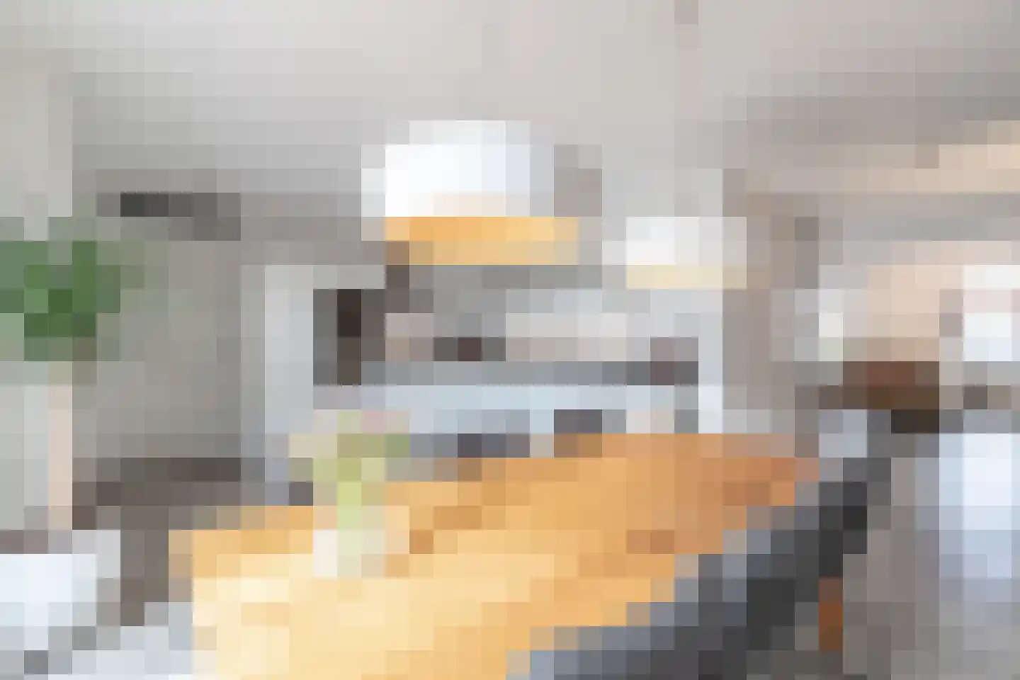 Ranastraat 1 Zuidhorn thumbnail 29