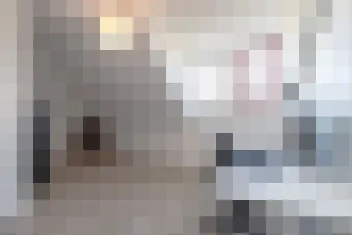 Ranastraat 1 Zuidhorn thumbnail 36