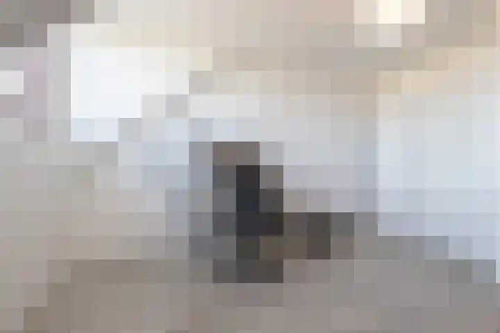 Ranastraat 1 Zuidhorn thumbnail 38
