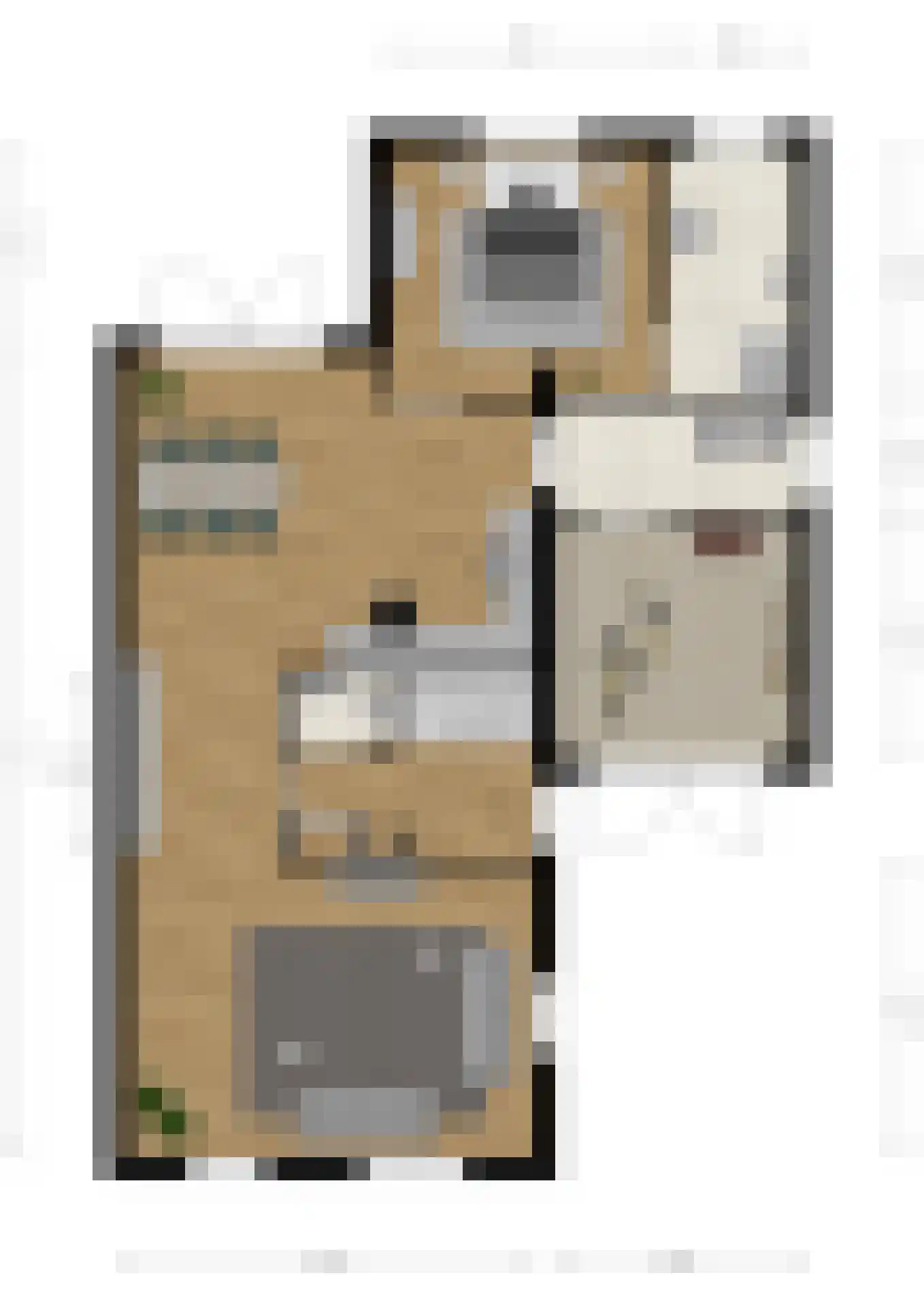 Ranastraat 1 Zuidhorn thumbnail 46