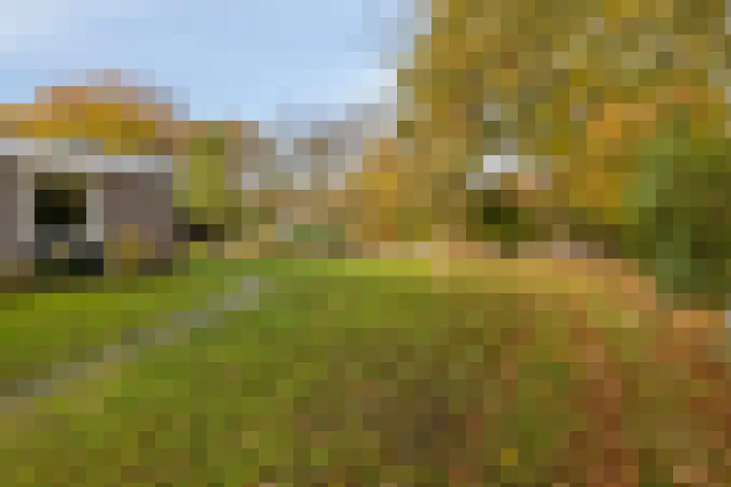 Randduinweg 2 Oostkapelle thumbnail 26