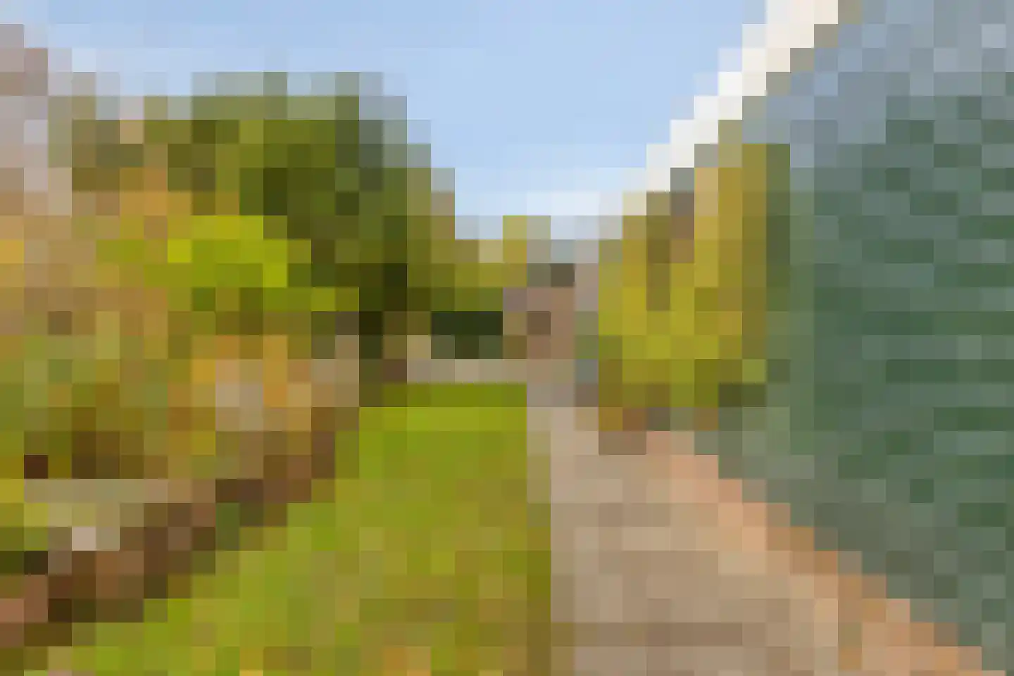 Randduinweg 2 Oostkapelle thumbnail 6