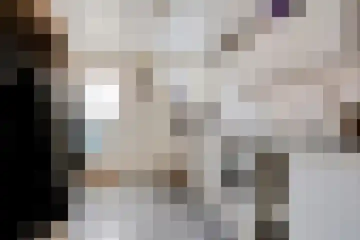 Randel 11 Marum thumbnail 10