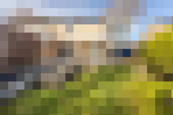 Randenborgweg 12 Nieuwstadt thumbnail 27