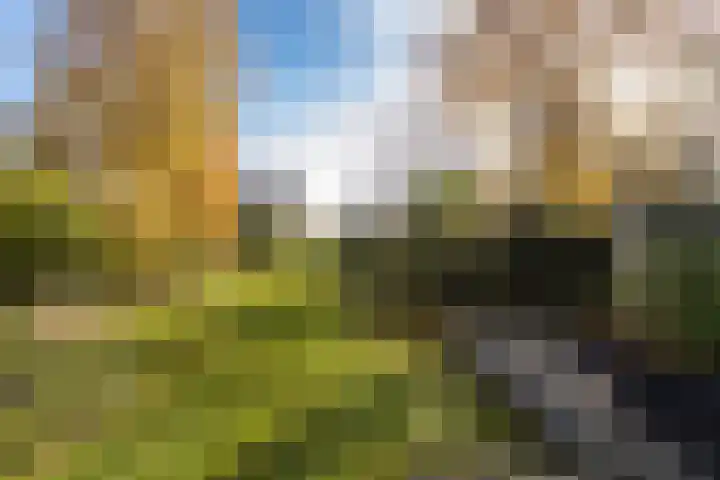 Randenborgweg 12 Nieuwstadt thumbnail 28