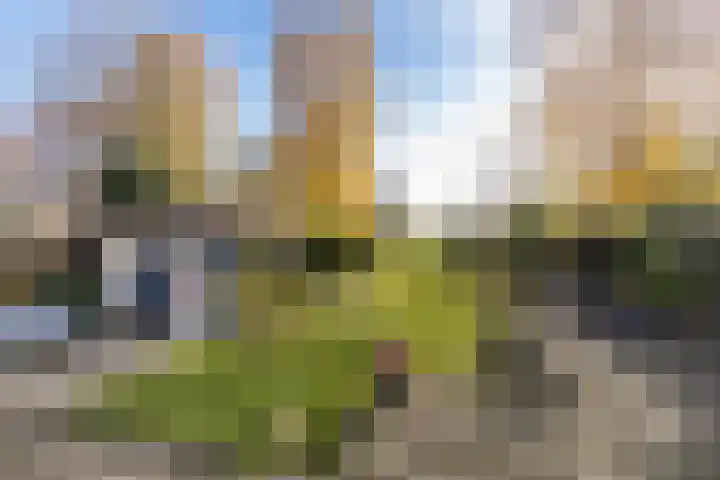 Randenborgweg 12 Nieuwstadt thumbnail 29