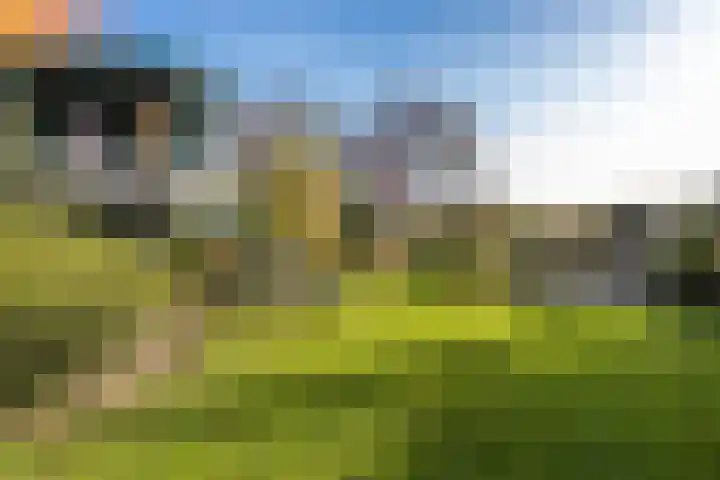 Randenborgweg 12 Nieuwstadt thumbnail 33