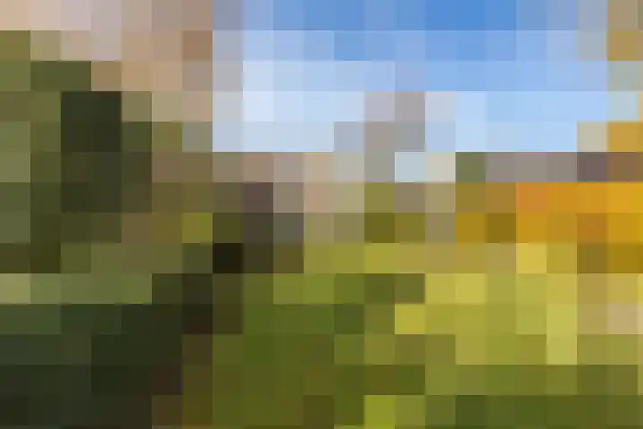 Randenborgweg 12 Nieuwstadt thumbnail 34