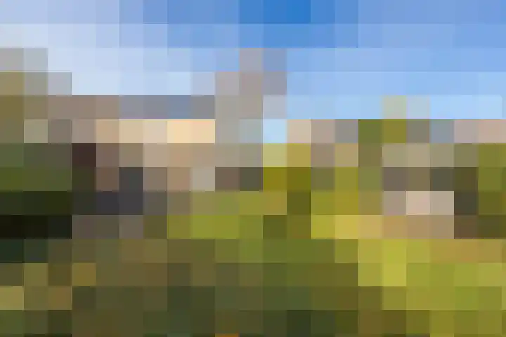 Randenborgweg 12 Nieuwstadt thumbnail 35