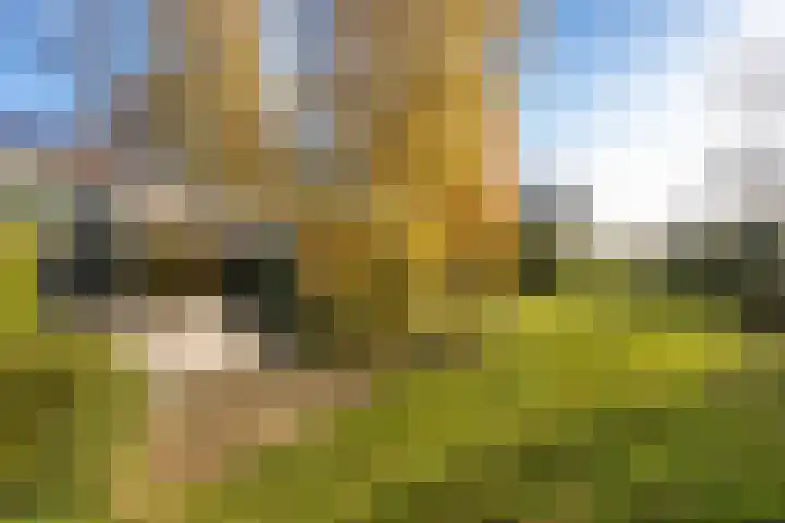 Randenborgweg 12 Nieuwstadt thumbnail 36