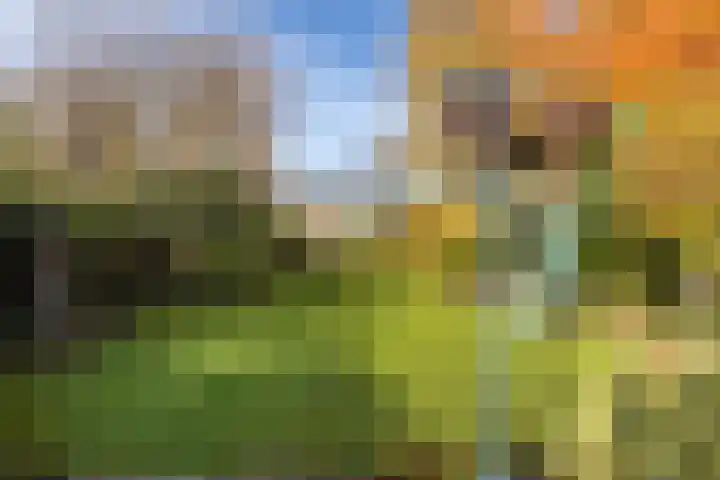 Randenborgweg 12 Nieuwstadt thumbnail 37