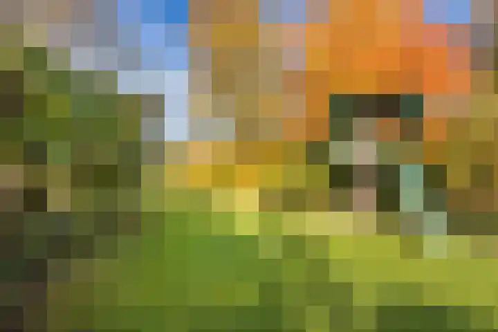 Randenborgweg 12 Nieuwstadt thumbnail 38