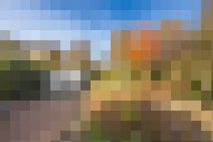 Randenborgweg 12 Nieuwstadt thumbnail 39