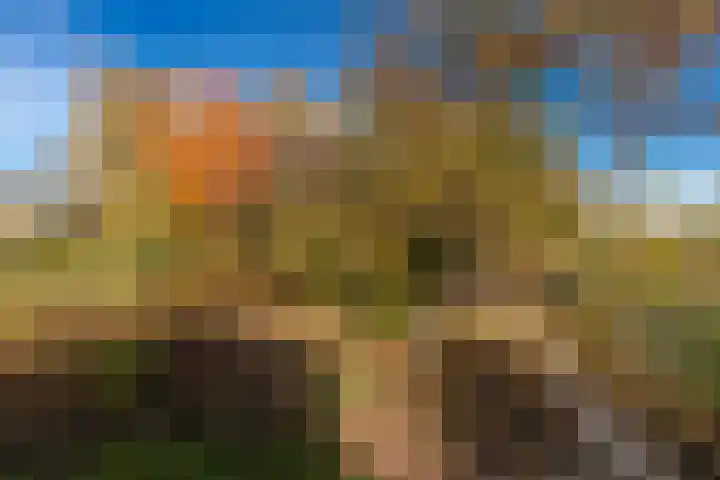 Randenborgweg 12 Nieuwstadt thumbnail 41